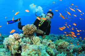 diving 4